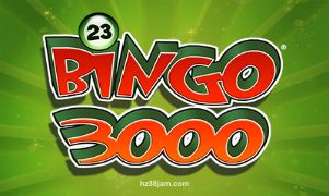 Bingo 3000